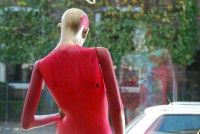 /album/fotogalerij/dsc-8816-jpg/